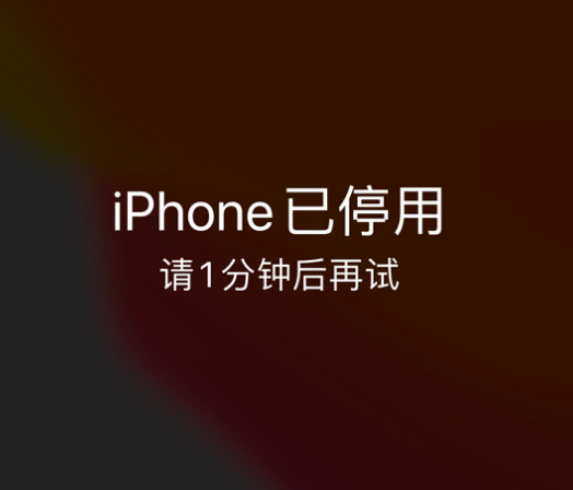 山阳苹果手机维修分享:iPhone 显示“不可用”或“已停用”怎么办？还能保留数据吗？ 