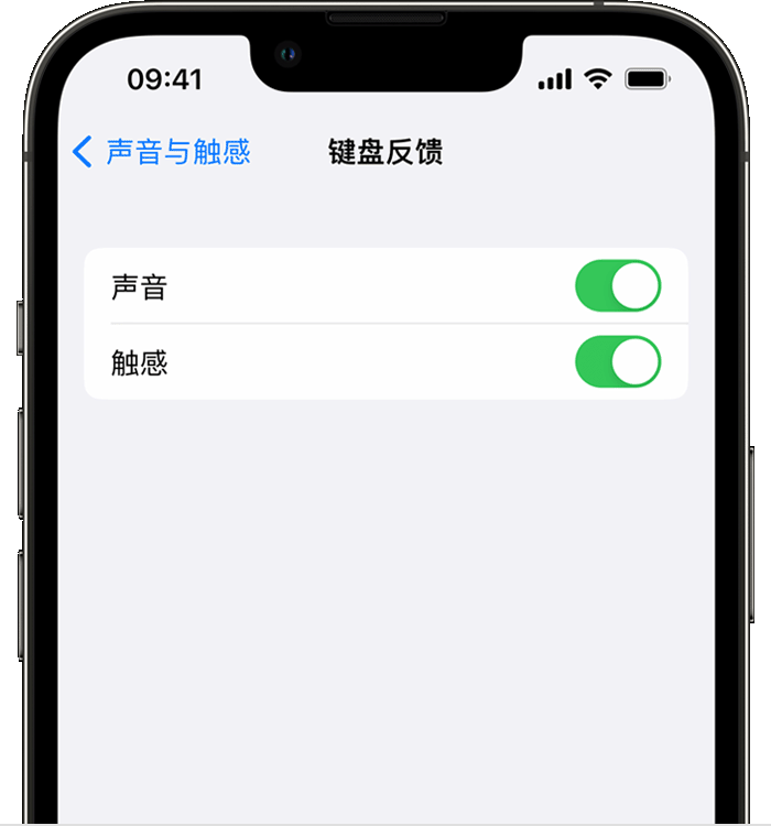 山阳苹果14维修店分享如何在 iPhone 14 机型中使用触感键盘 